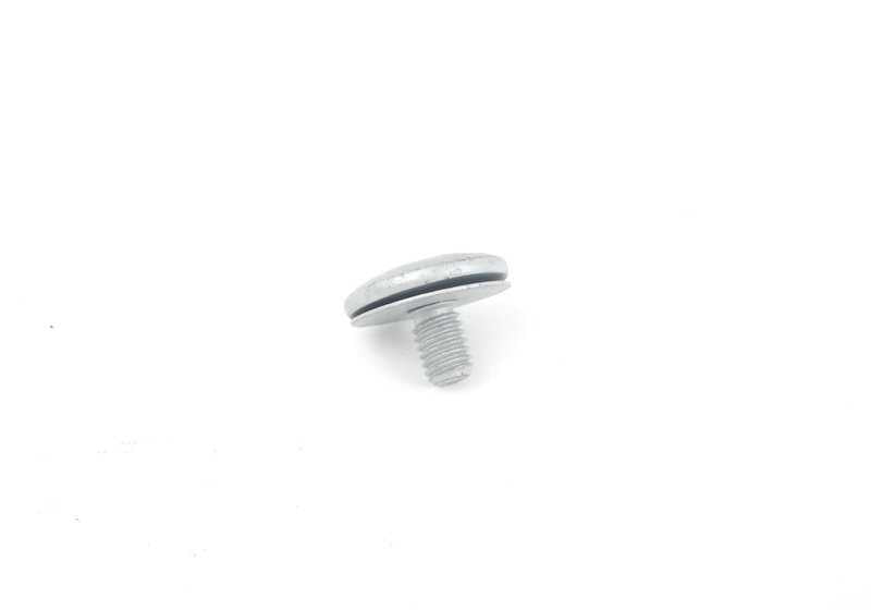 Torxschraube mit Waschmaschine OEM 07149141669 für BMW E46, F91, G14, E85, E86, I12. Original BMW