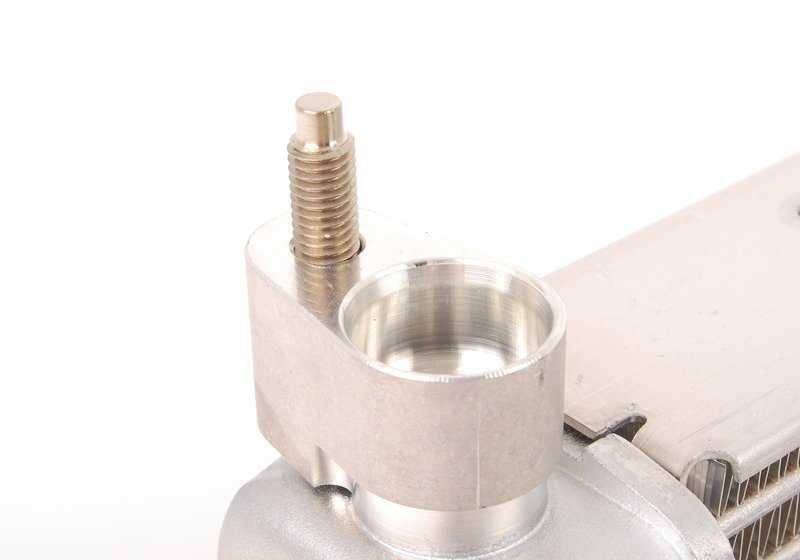 Radiador adicional OEM 17212284260 para BMW 5' F10, F90 M5, 6' F06 Gran Coupé, 6' F12, 6' F13, 8' G15 Coupé, 8' G16 Gran Coupé... y más. Original BMW.