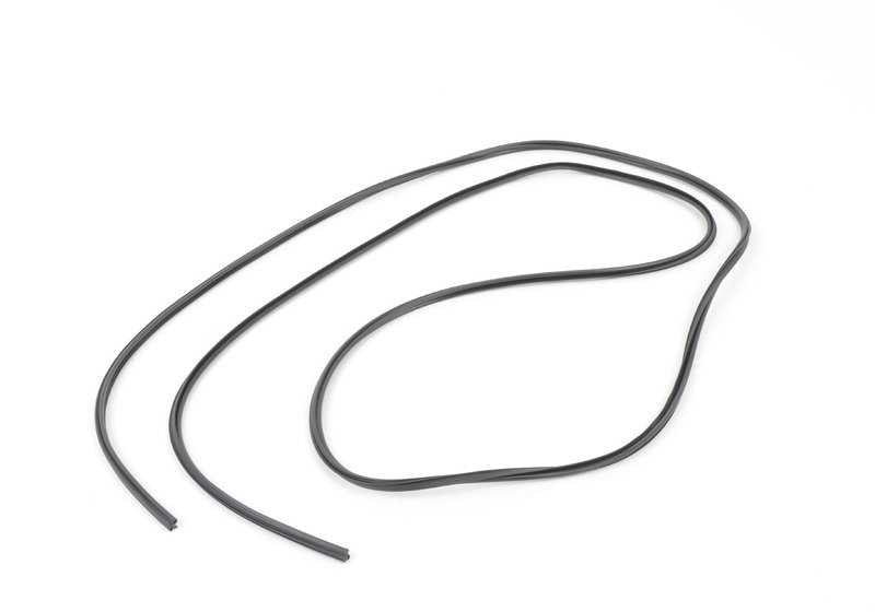 Modano di scheda di sinistra per la BMW 3 E92, E92N (OEM 51767167601). BMW originale