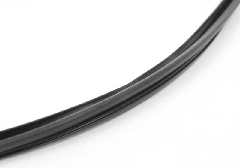 Modano di scheda di sinistra per la BMW 3 E92, E92N (OEM 51767167601). BMW originale