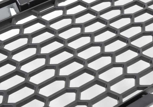 OEM Central Air Input Grid 51118047391 für BMW F10, F11. Original BMW.