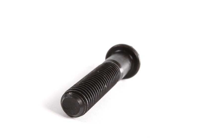 Aussentorx screw for BMW 3 Series E30, E36 5 Series E34 7 Series E32, E38 8 Series E31 (OEM 33211227279). Genuine BMW.