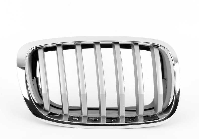 Rejilla frontal derecha OEM 51137307600 para BMW X6 E71. Original BMW.