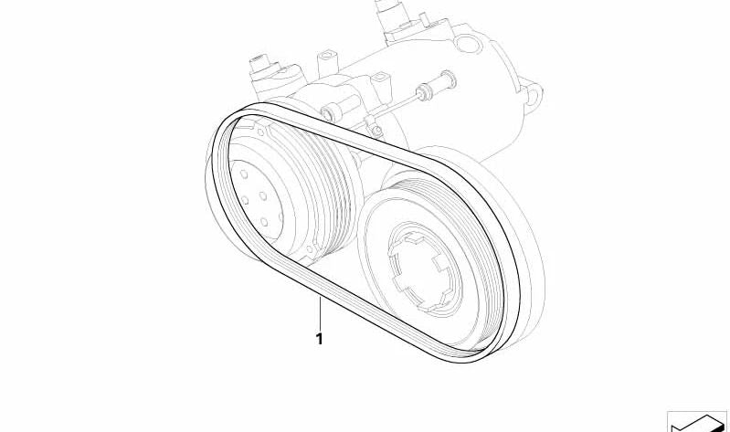 Correa poli V (4PK x 895 mm) OEM 64557795144 para BMW E46, X3 E83, X3 E83N. Original BMW.