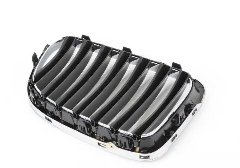 Rejilla decorativa delantera OEM 51117347670 para BMW E84 (X1). Original BMW.