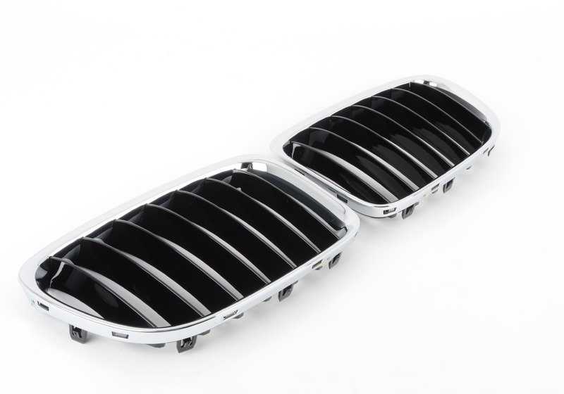 Rejilla decorativa delantera OEM 51117347670 para BMW E84 (X1). Original BMW.