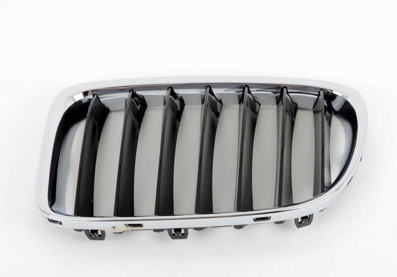 Rejilla decorativa delantera OEM 51117347670 para BMW E84 (X1). Original BMW.