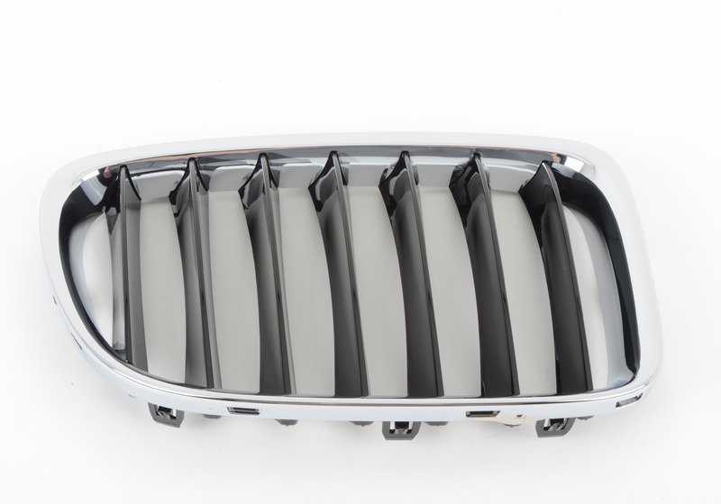 Rejilla decorativa delantera OEM 51117347670 para BMW E84 (X1). Original BMW.