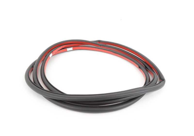 Junta de puerta delantera OEM 51767220381 para BMW X5 E70, E70N. Original BMW.