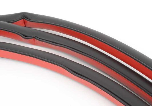 Junta de puerta delantera OEM 51767220381 para BMW X5 E70, E70N. Original BMW.