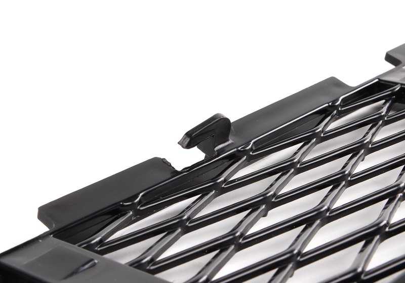 Rejilla debajo inferior parachoques frontal, en NEGRO para BMW E53 X5 . Original BMW