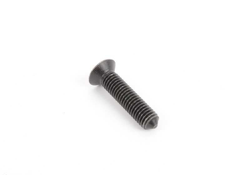 OME AVELLANADO TORX 07147160286 für BMW (kompatible Modelle: E91, E70). Original BMW.