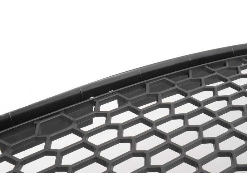 Rejilla central de entrada de aire OEM 51118050494 para BMW F06, F06N, F12, F12N, F13, F13N. Original BMW.