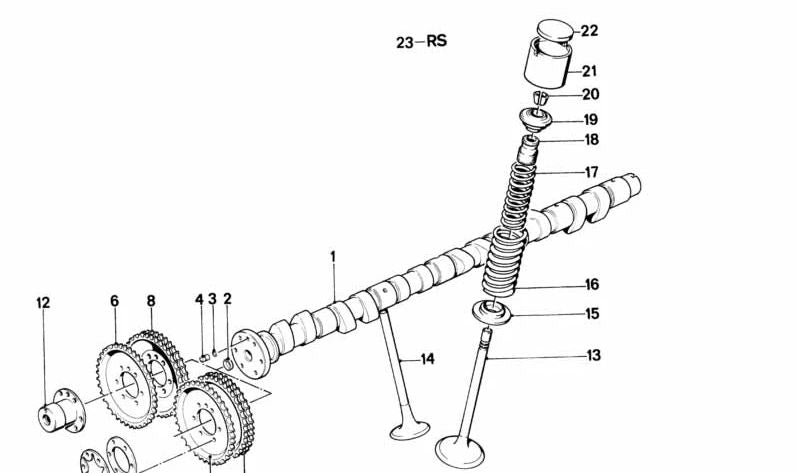 Muelles de válvula OEM 11341308830 para BMW E28 (M5) y BMW E24 (635CSi, M635CSi). Repuesto original BMW.