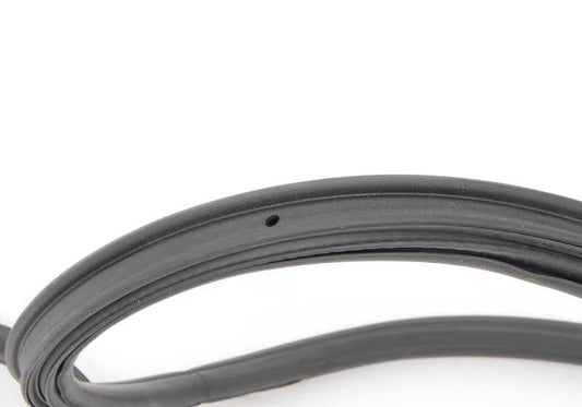 Junta de puerta derecha OEM 51767054028 para BMW E81, E82. Original BMW.