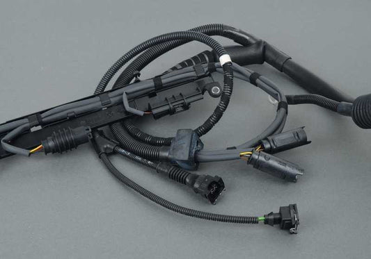 Cablaggio del motore e modulo di trasmissione OEM 12517831756 per BMW E46. Sostituzione BMW originale.