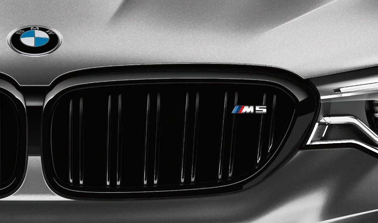 Griglia decorativa M Performance OEM 51132456162 per BMW F90 (serie 5 M5). BMW originale.