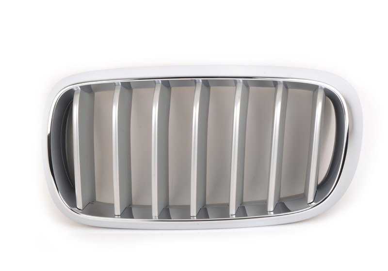 Rejilla decorativa frontal izquierda OEM 51117303107 para BMW X5 F15 (todos los modelos compatibles: sDrive25d, xDrive25d, sDrive35i). Original BMW.