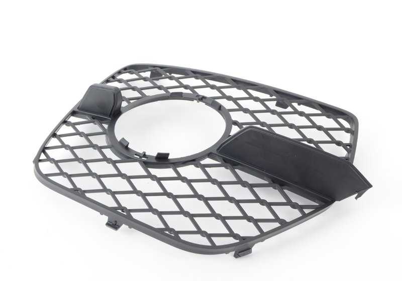 Rejilla delantera derecha (lado copiloto) OEM 51117176278 para BMW X6 E71 y E72. Original BMW.