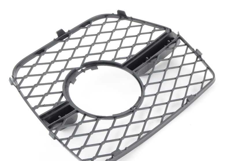 Rejilla delantera derecha (lado copiloto) OEM 51117176278 para BMW X6 E71 y E72. Original BMW.