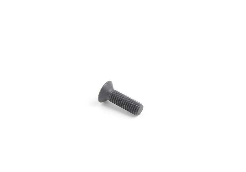 Tornillo avellanado OEM 46622313516 para motos BMW R1150GS, R1100GS, K1100RS... y más. Original BMW Motorrad.