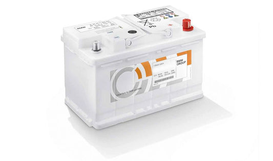 Batería de coche 55Ah OEM 61218377139 para BMW {E30, E38, E46, E81, E82, E83, E85, E86, E87, E88, E90, E91, E92, E93} y MINI {R50, R52, R53, R55, R56, R57, R58, R59, R60, R61}. Original BMW und Mini.
