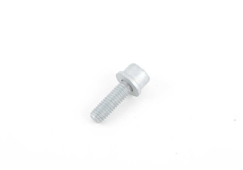 Tornillo Torx M6X20 OEM 07129903979 para motos BMW R1200GS, F800GS, S1000RR, K1600GT, R nineT… y más. Original BMW Motorrad.