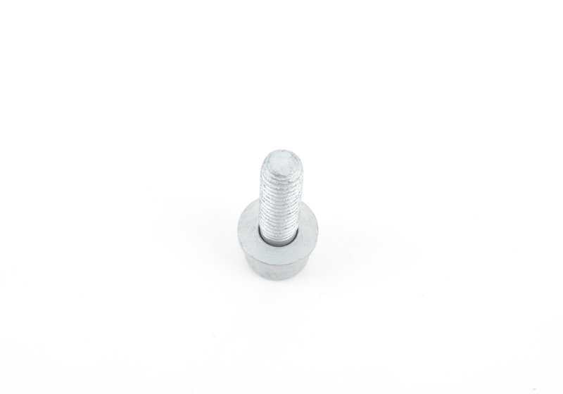 Tornillo Torx M6X20 OEM 07129903979 para motos BMW R1200GS, F800GS, S1000RR, K1600GT, R nineT… y más. Original BMW Motorrad.