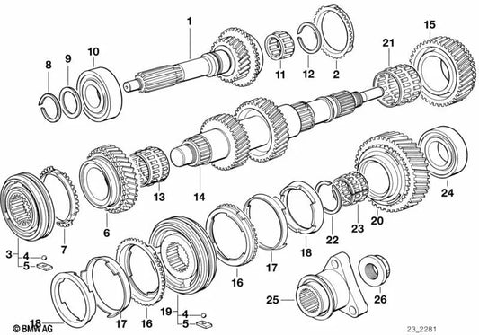 OEM Federring 23231228448 für BMW 1er E87, 3er E36, 3er E46, 5er E34, 5er E39, Z3 E36, Z4 E85... und mehr. Original BMW.