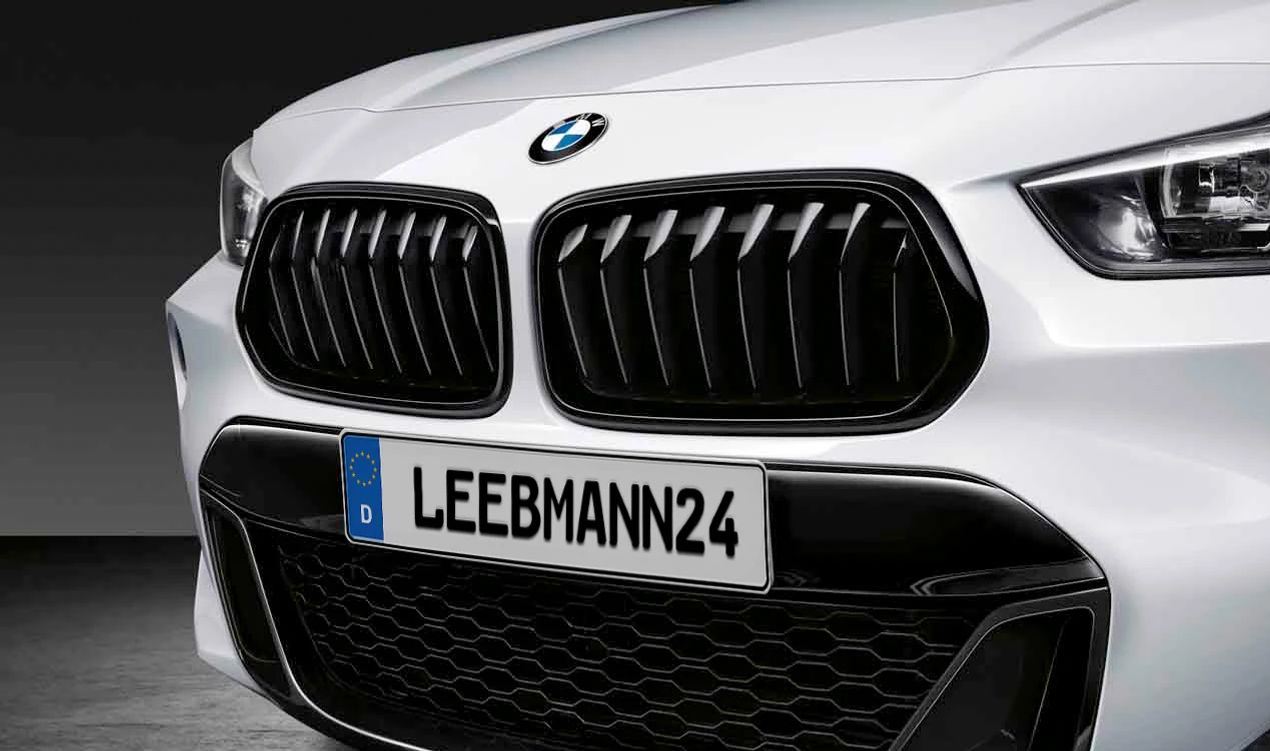 Rejilla Decorativa Delantera Izquierda para BMW F39 (OEM 51138080621). Original BMW