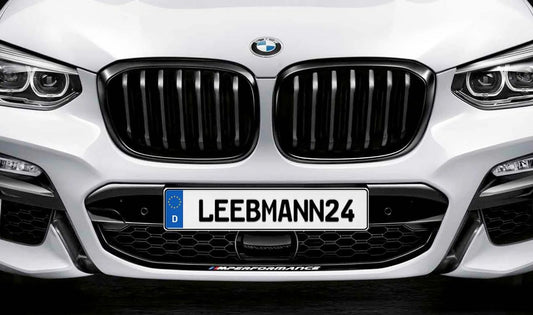 M Performance Decorative Grille for BMW X3 G01, X4 G02 (OEM 51138469960). Genuine BMW.