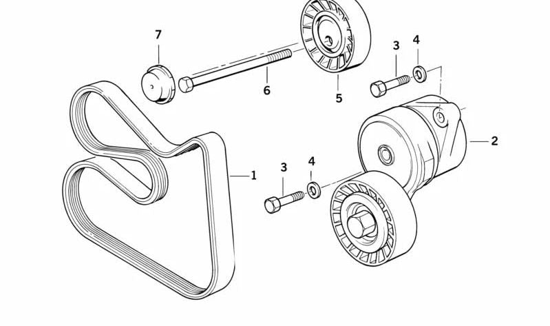 Correa acanalada (poly V) OEM 11287520072 para BMW E36, E34, E60, E61, E65, E66. Original BMW.