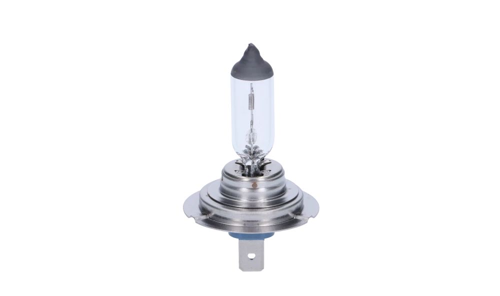 Bombilla halógena larga duración H7 12V 55W OEM 63217160781 para BMW E81, E82, E87, E88, F20, F21, F40, F22, F23, F45, F46, E36, E46, E90, E91, F30, F31, F34, E39, E60, E61, F07, F10, F11, E63, E64, E38, E65, E66, F01, F02, F48, F39, E83, F25, G01,