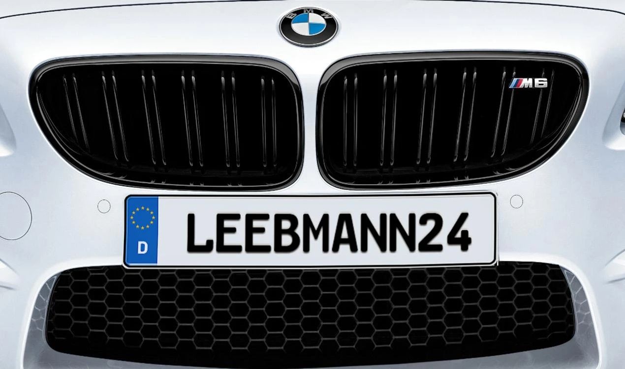 Rejilla decorativa M Performance OEM 51712352809 para BMW F06, F12, F13. Original BMW.
