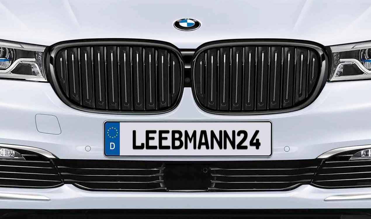 Rejilla decorativa M Performance OEM 51712289686 para BMW Serie 7 G11, G12. Original BMW.