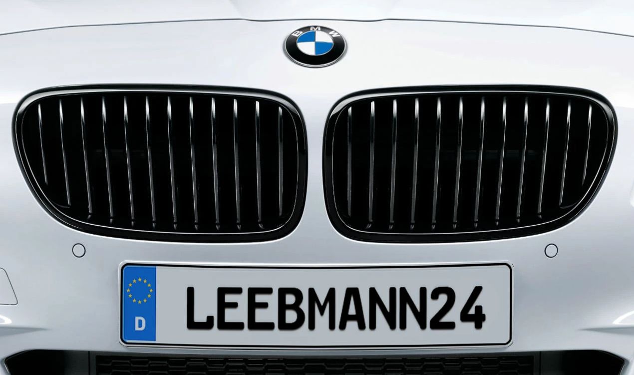 Grade dianteira M Performance OEM 51712165539 para BMW Série 5 (F10, F11). BMW originais.
