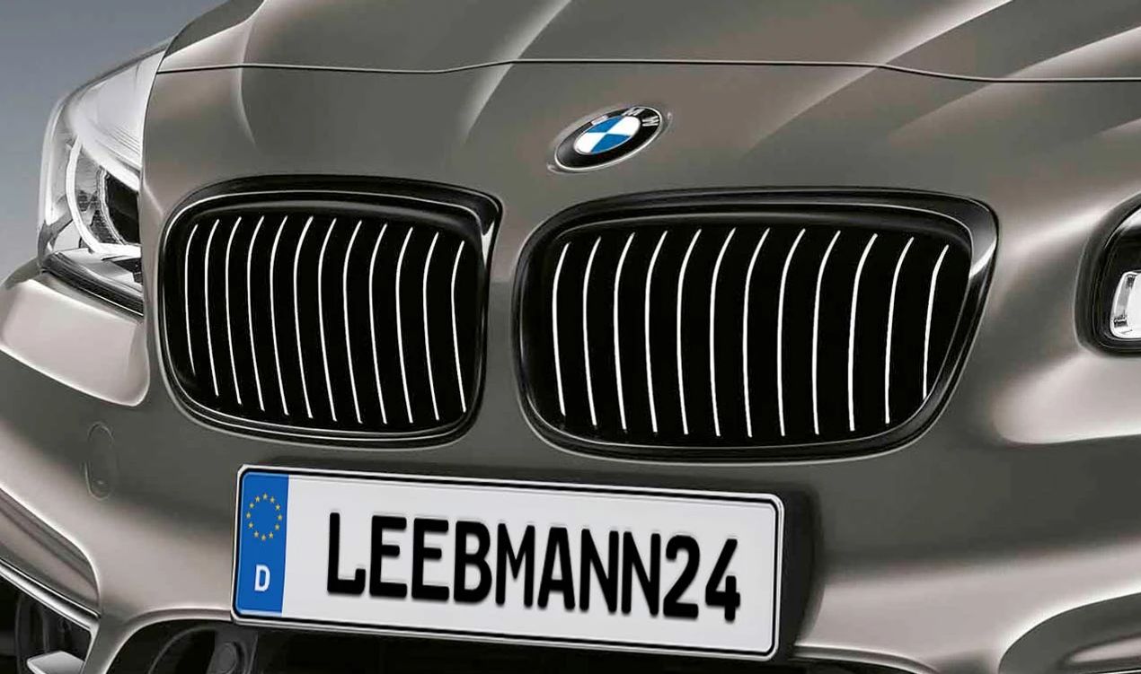 Rejilla frontal M Performance OEM 51712410149 para BMW Serie 2 Active Tourer (F45) y Gran Tourer (F46). Original BMW.