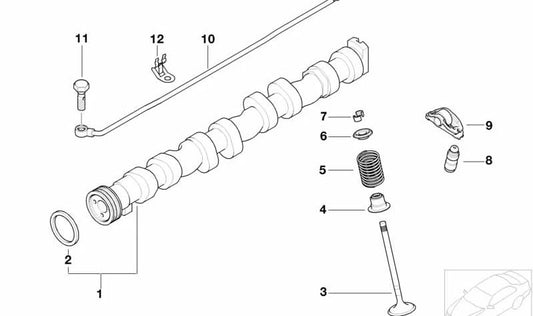 Valve Spring OEM 11347508371 for BMW (Compatible models: E87, E46, E90, E91, E60, E61, E63, E64, E65, E66, E83, E53, E85). Original BMW.