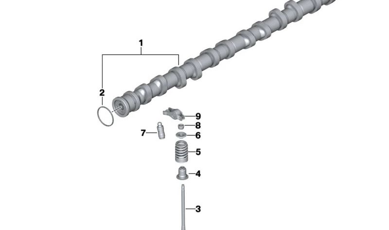 Zulassungsnockenwelle für BMW 3 E90 -Serie, E91, E92, E93, 5 F10 -Serie, F11, 6 E63N -Serie, E64N (OEM 11317567641). Original BMW