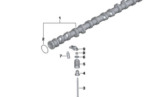 Zulassungsnockenwelle für BMW 3 E90 -Serie, E91, E92, E93, 5 F10 -Serie, F11, 6 E63N -Serie, E64N (OEM 11317567641). Original BMW