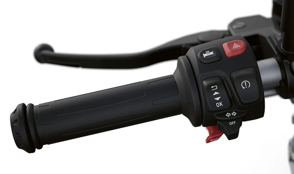 Puño izquierdo calefactable OEM 61318554007 para BMW Motorrad F 750 GS, F 850 GS, F 850 GS Adv, F 900 R, F 900 XR, R nineT, R nineT Pure. Ideal para días fríos. Original BMW Motorrad.