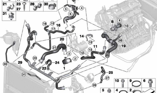 Manguera inferior radiador a termostato OEM 17127552404 para BMW E81, E82, E87, E88 (116i, 118i con motor N43). Original BMW.