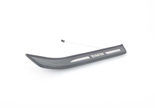 Entry plate for BMW F07, F07N (OEM 51477193476). Genuine BMW