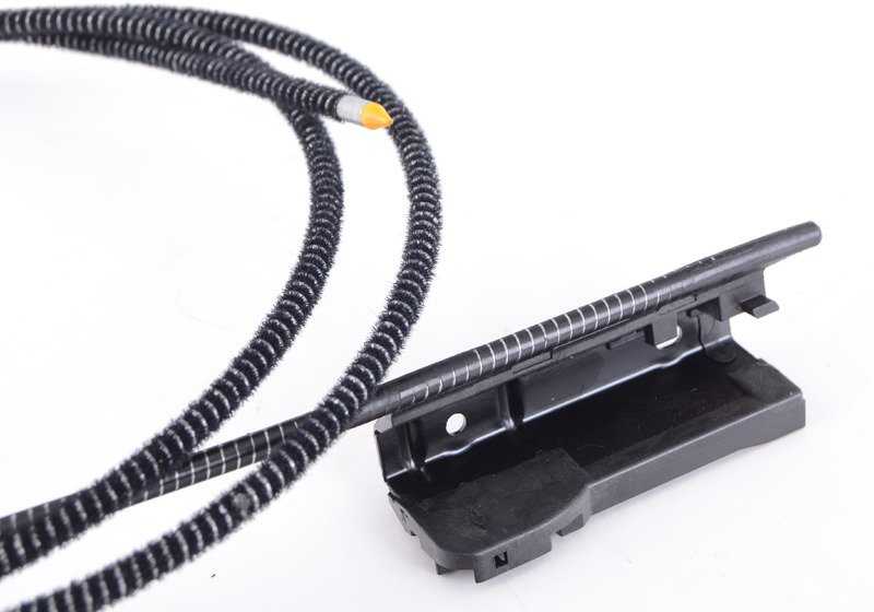 OM 54107387113 Cavo di vetro solare anteriore per BMW E70, E71, F15, F85. BMW originale.