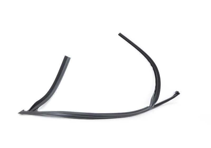 Guía de ventana puerta delantera izquierda para BMW X3 F25 (OEM 51317311261). Original BMW
