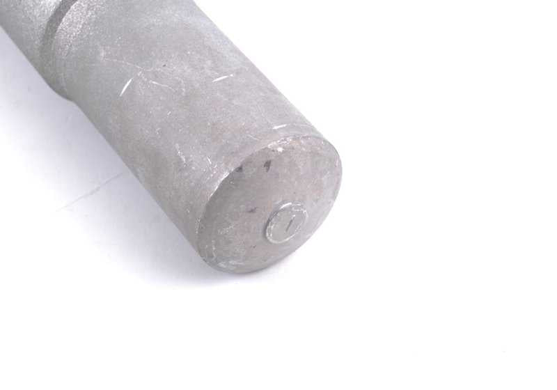 ShockPower anteriore sinistro per la serie BMW 5 E60 (OEM 31312283125). BMW originale