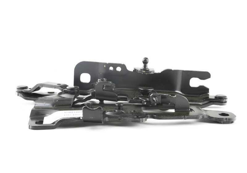Bisagra capó delantero izquierda OEM 41617291701 para BMW F01, F02, F04. Compatible con modelos 730d, 730i, 740d y versiones xDrive. Original BMW.