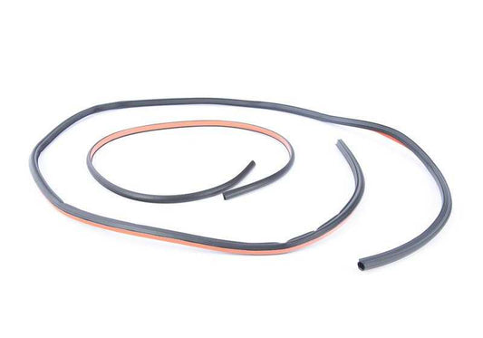 Junta trasera cristal techo panorámico OEM 54107304488 para BMW X3 F25. Recambio original BMW.