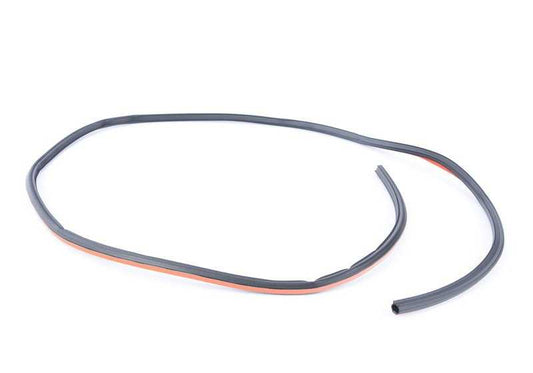 Junta trasera cristal techo panorámico OEM 54107304488 para BMW X3 F25. Recambio original BMW.
