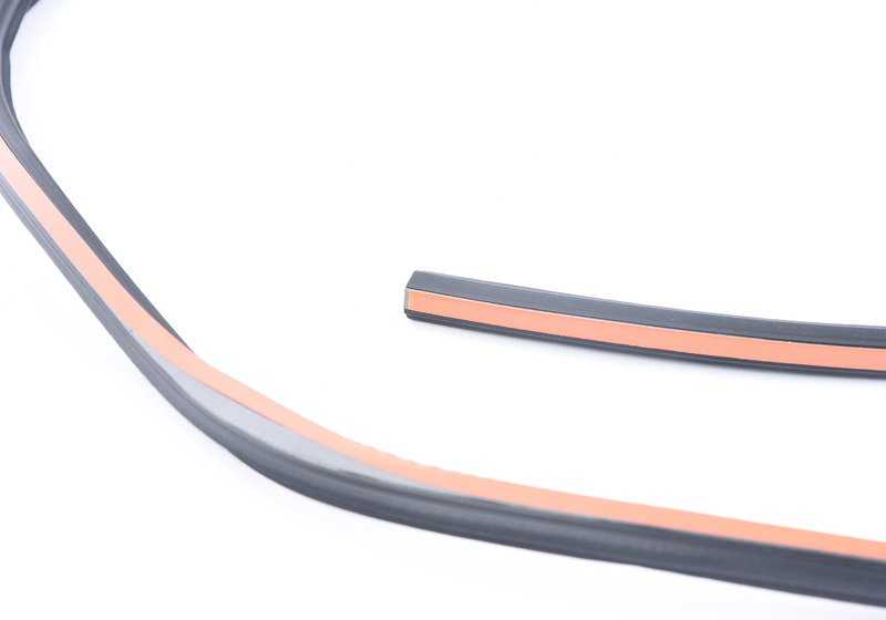 Junta trasera cristal techo panorámico OEM 54107304488 para BMW X3 F25. Recambio original BMW.